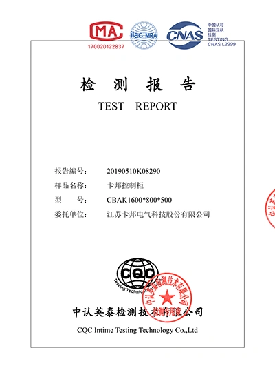 IP65 Test Report
