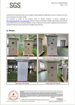 5.5 kV and 11 kV high-voltage grounding resistor cabinets ordered by a customer in Algeria