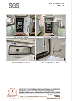 5.5 kV and 11 kV high-voltage grounding resistor cabinets ordered by a customer in Algeria